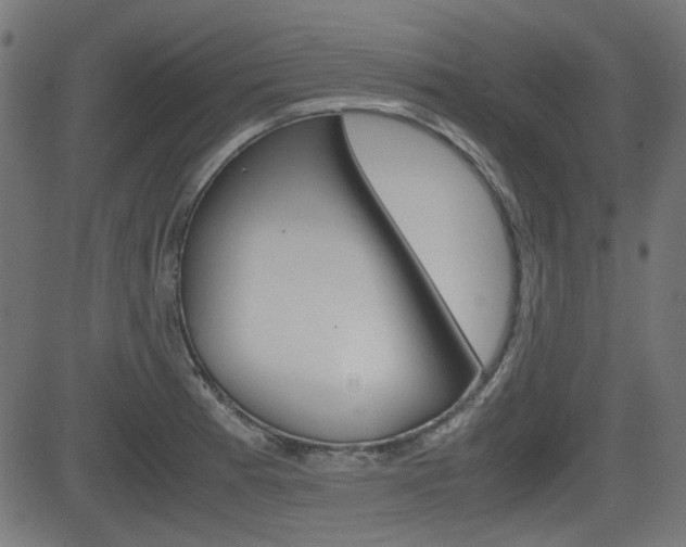 X0000082991185200702011136