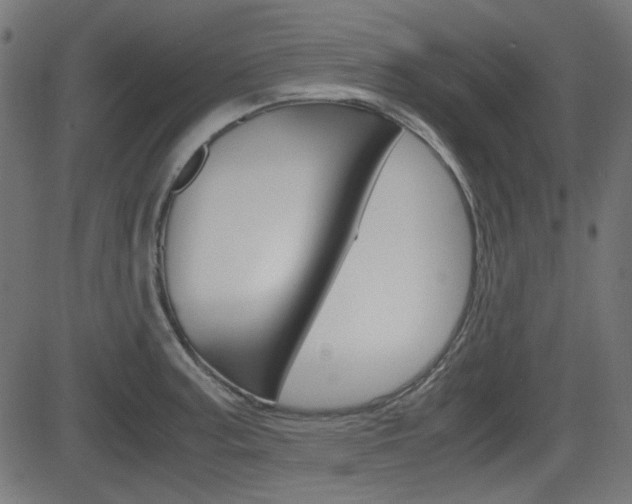 X0000082991187200702011136