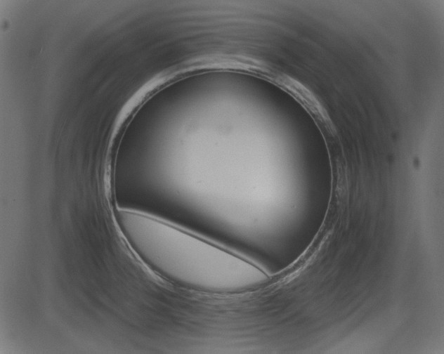 X0000082991188200702011136