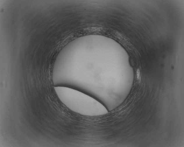 X0000082991203200702011135