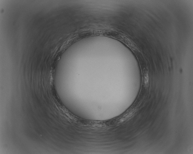 X0000082991204200702011135