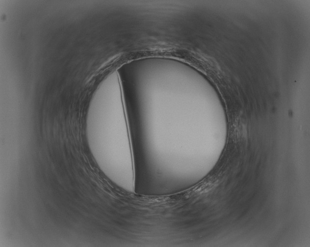 X0000082991205200702011135
