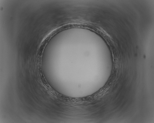 X0000082991208200702011135