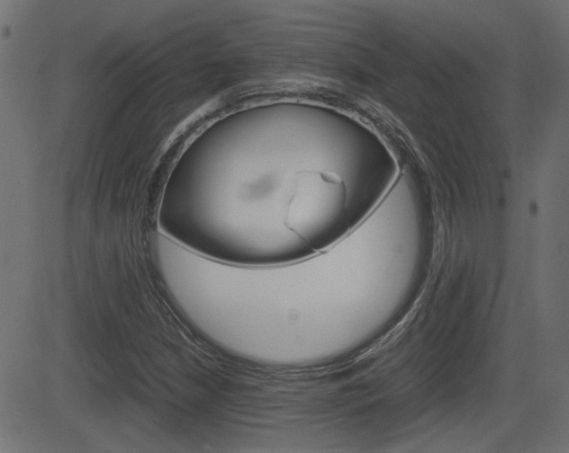X0000082991210200702011135