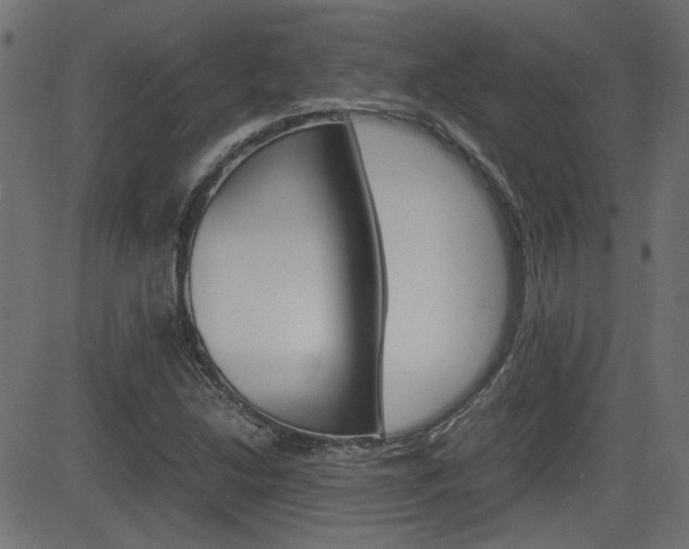X0000082991214200702011135