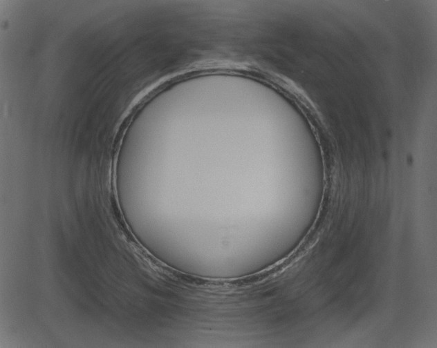 X0000082991220200702011136