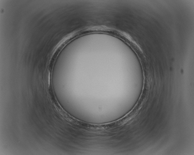 X0000082991221200702011136