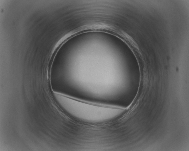 X0000082991226200702011136