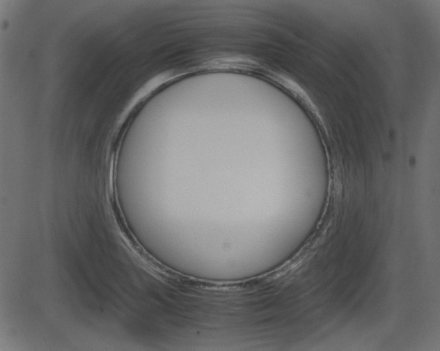 X0000082991227200702011136