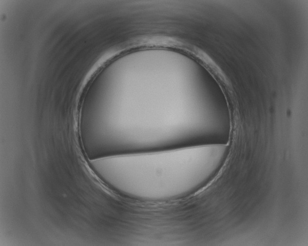 X0000082991232200702011136