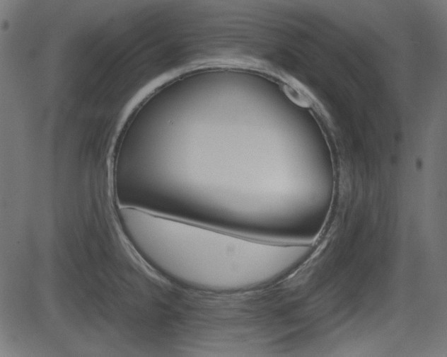 X0000082991238200702011136