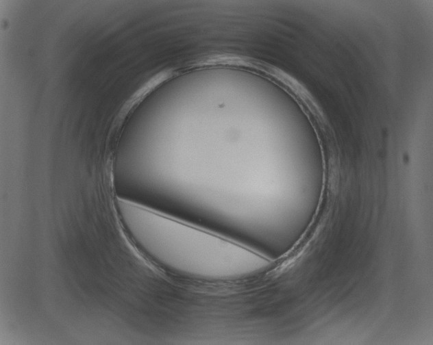 X0000082991241200702011136