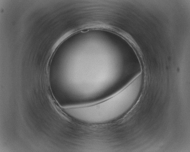 X0000082991242200702011136