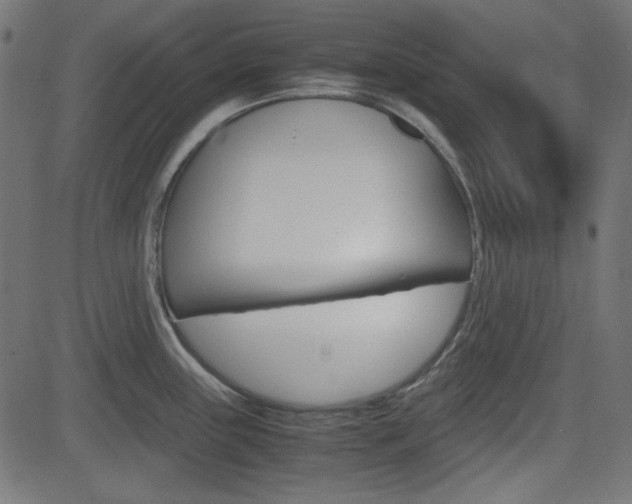 X0000082991243200702011136