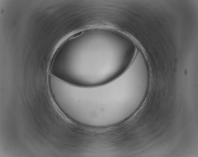 X0000082991246200702011136