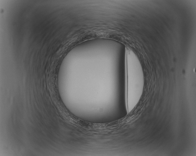 X0000082991249200702011135