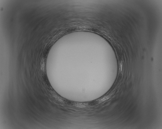 X0000082991251200702011135