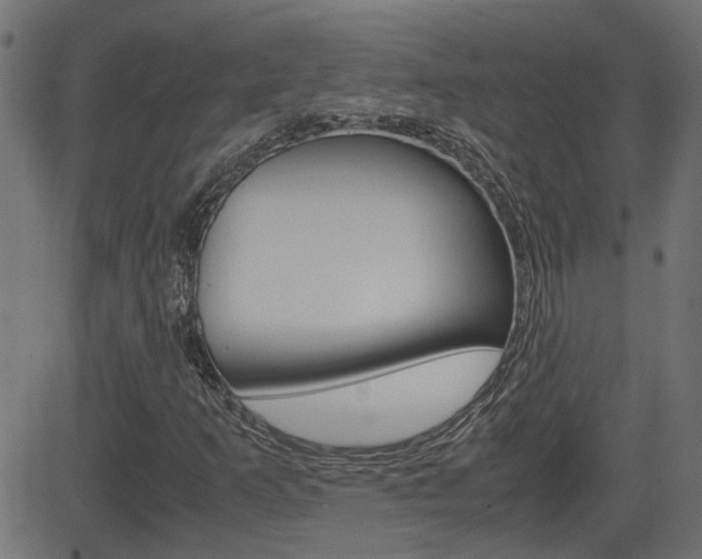 X0000082991253200702011135