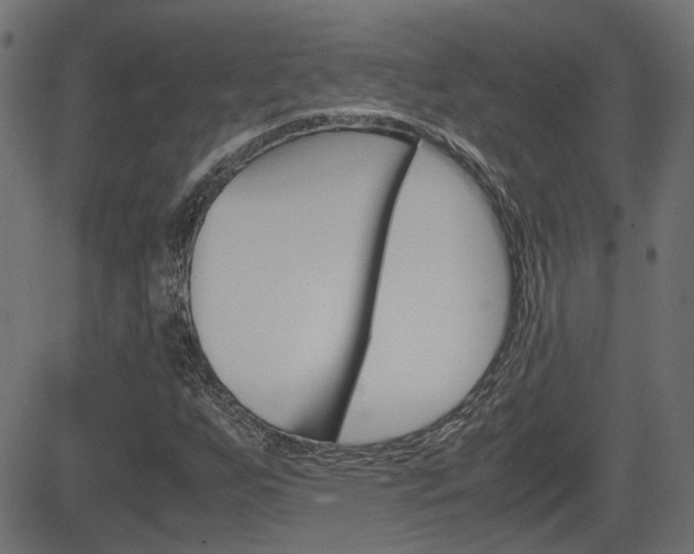 X0000082991255200702011135