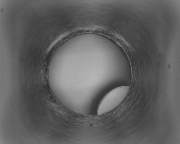 X0000082991256200702011135