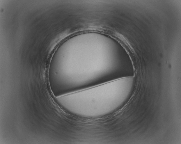 X0000082991260200702011135