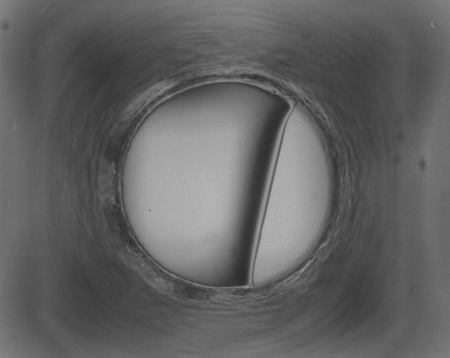 X0000082991265200702011135