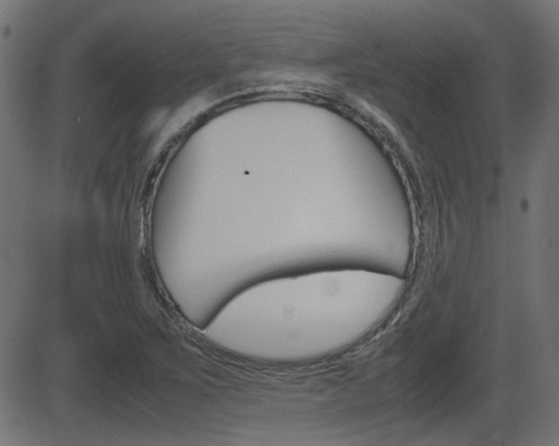X0000082991267200702011135