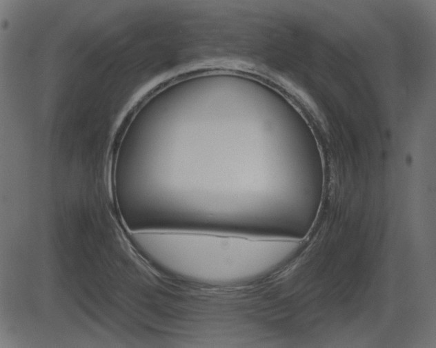 X0000082991272200702011135