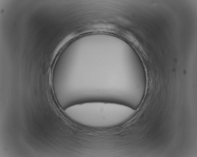 X0000082991275200702011135