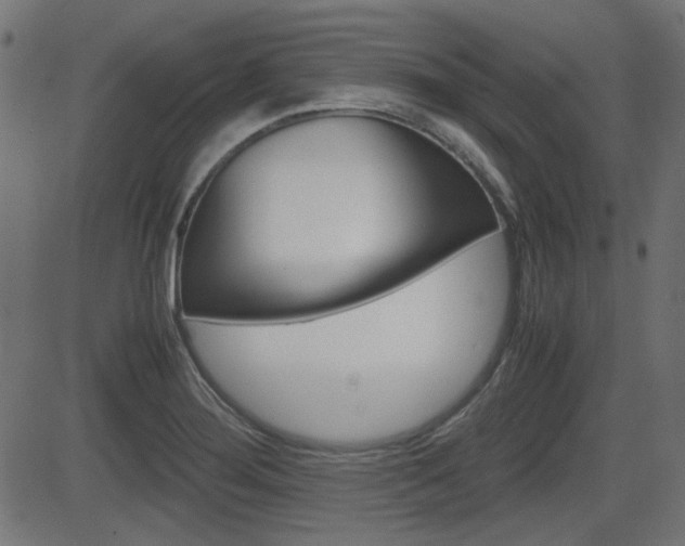 X0000082991276200702011135