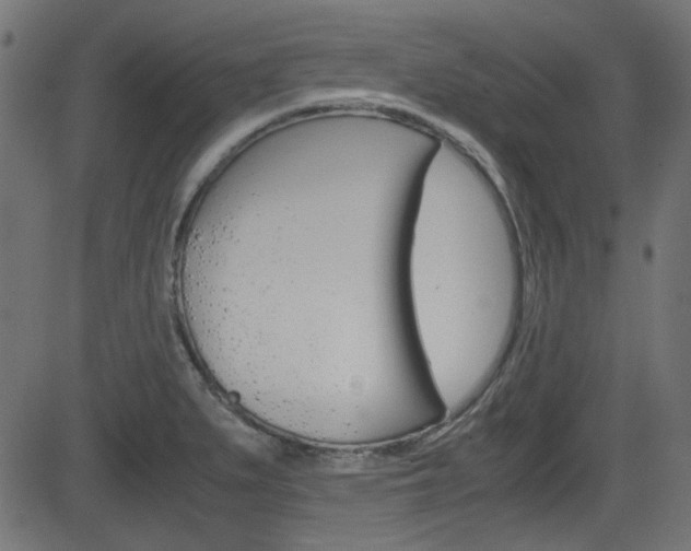 X0000082991279200702011135