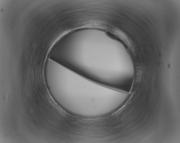 X0000082991284200702011135