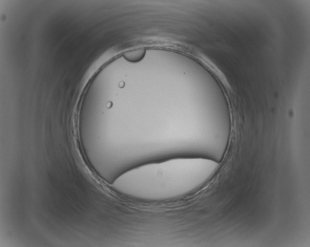 X0000082991291200702011135
