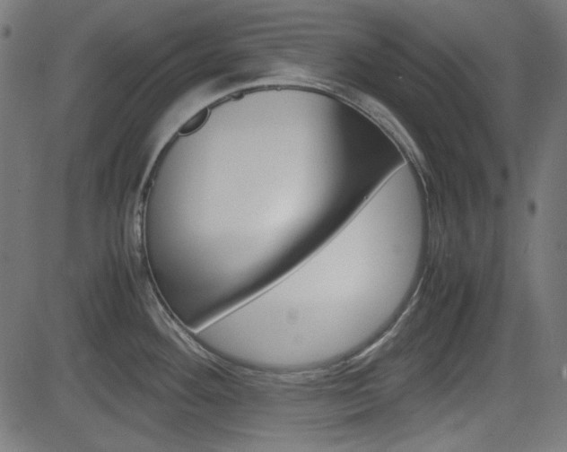 X0000082991292200702011135