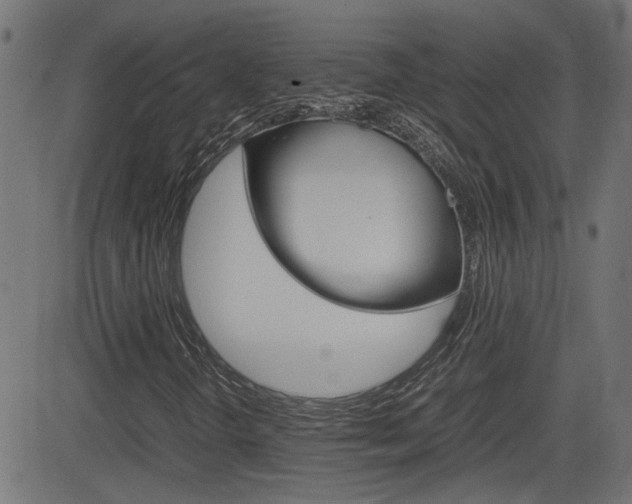 X0000082991298200702011134