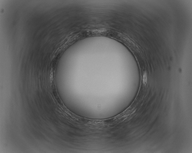 X0000082991299200702011134
