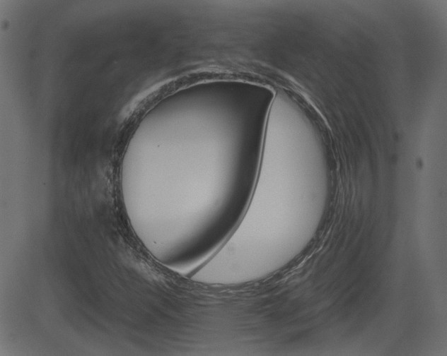 X0000082991304200702011134