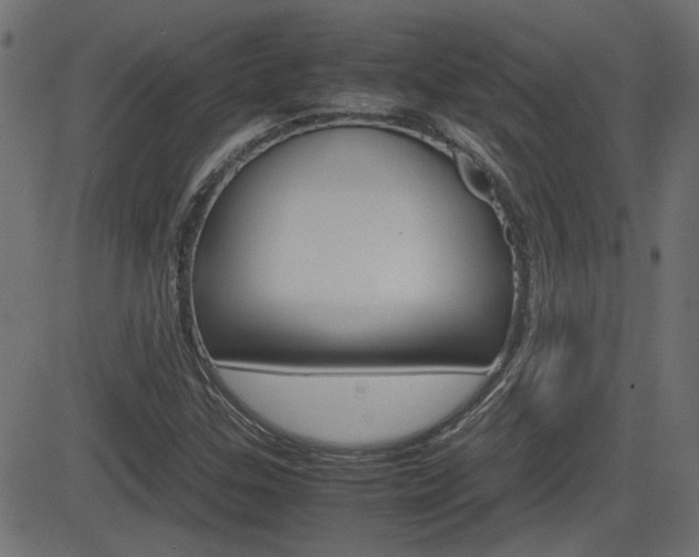 X0000082991307200702011134