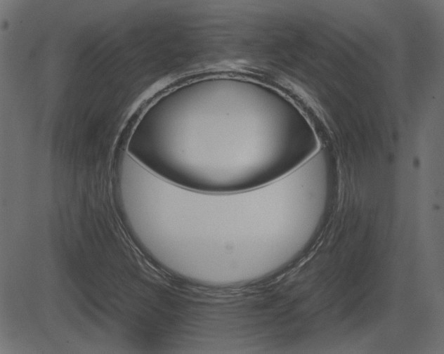 X0000082991308200702011134