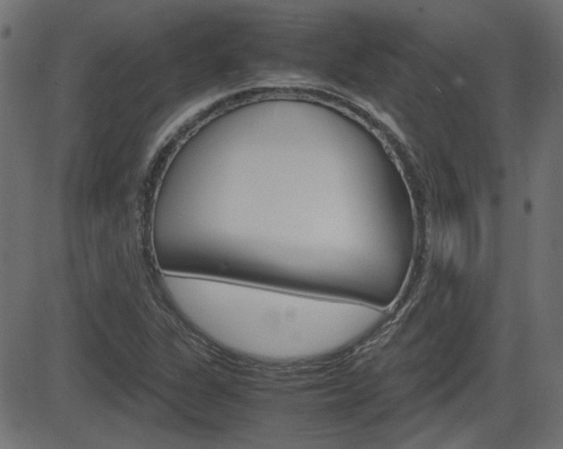 X0000082991311200702011134