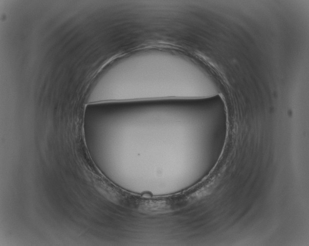 X0000082991313200702011134