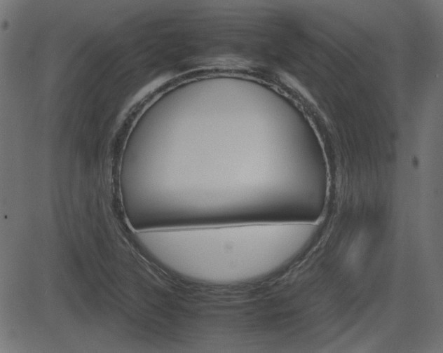 X0000082991315200702011134