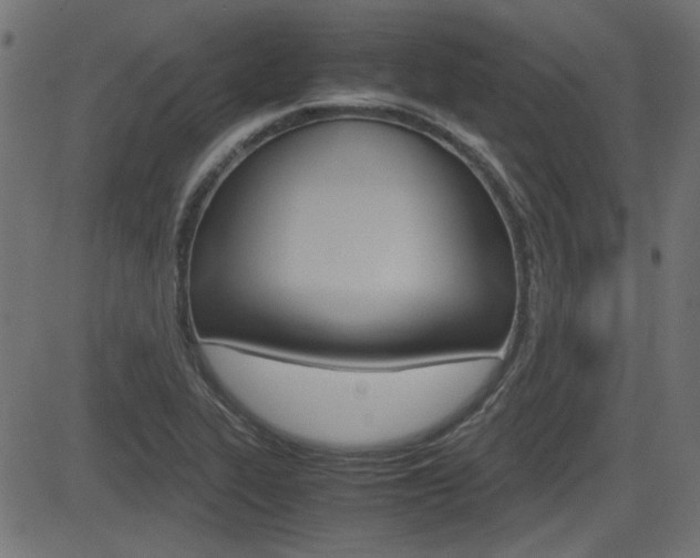 X0000082991319200702011134