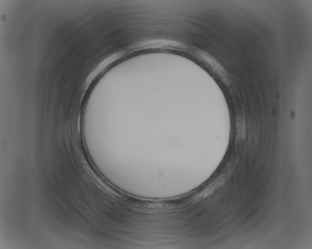 X0000082991322200702011134