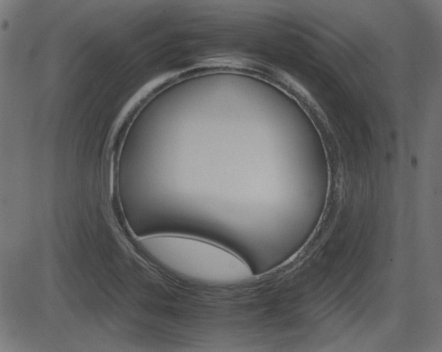X0000082991323200702011134