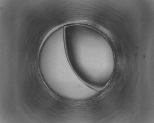 X0000082991324200702011134