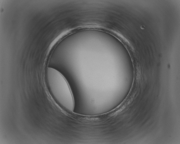 X0000082991325200702011134