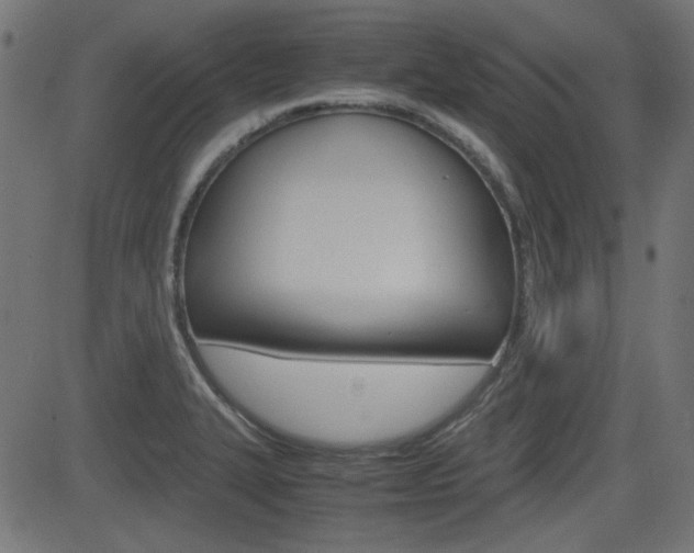 X0000082991327200702011134