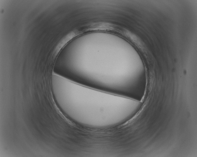 X0000082991329200702011134