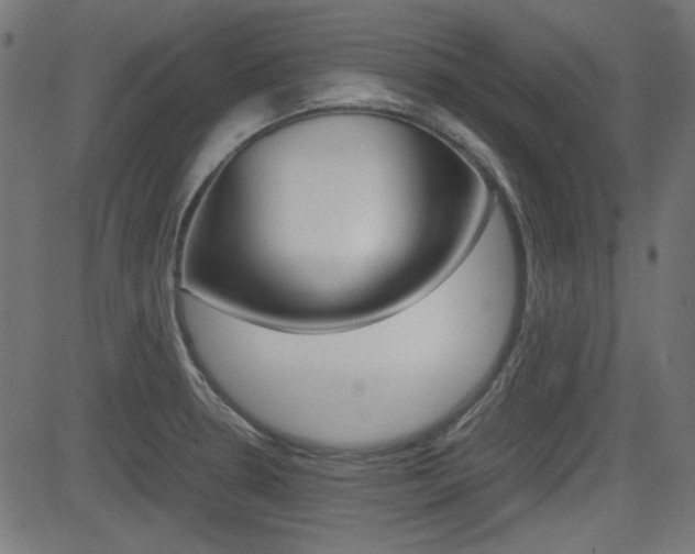 X0000082991330200702011134